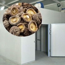 滚筒刮板干燥机 高效干燥解决方案与应用推荐